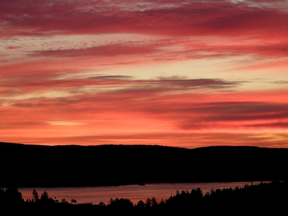 Acadia National Park