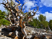 Great Basin National Park