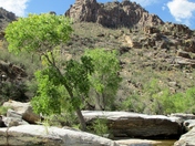 Sabino Canyon