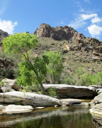 Sabino Canyon