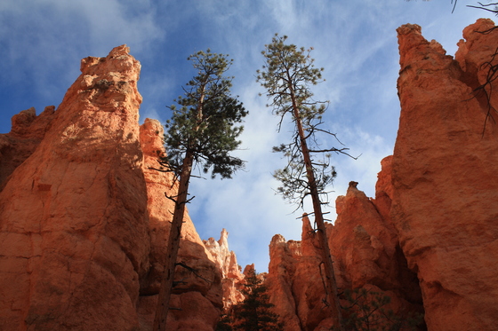 Bryce Canyon National Park