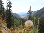 Rocky Mountain National Park