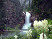 Glacier National Park
