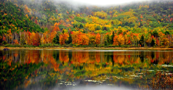 Acadia National Park