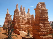 Bryce Canyon N.P.
