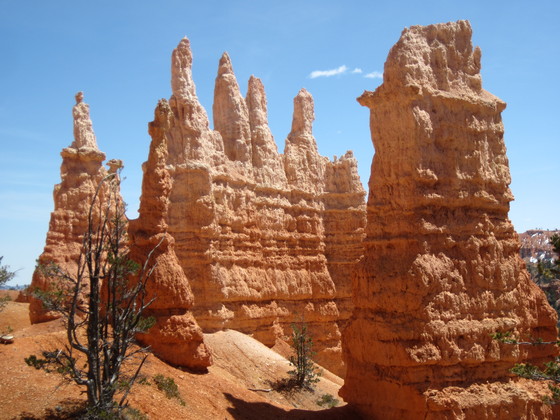 Bryce Canyon N.P.