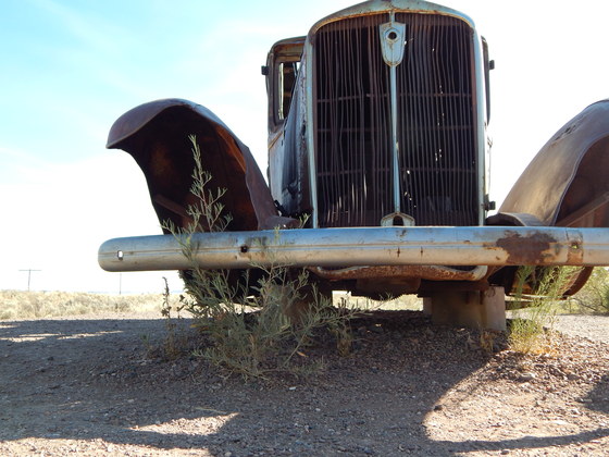 Petrified Forest