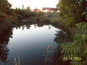 Evening reflections on this belleville spillway