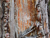 Okefenokee National Wildlife Refuge