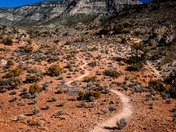 Red Rock Canyon National Conservation Area