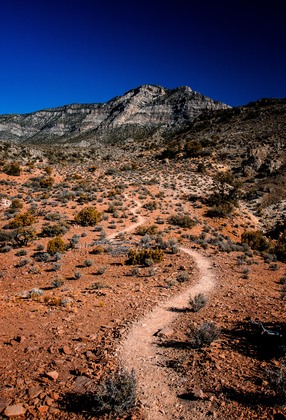 Red Rock Canyon National Conservation Area