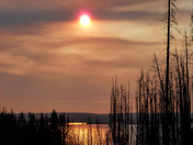 Yellowstone National Park