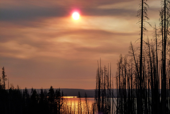 Yellowstone National Park