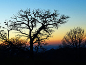 Big Bend National Park