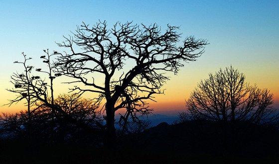 Big Bend National Park