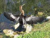 Everglades National Park