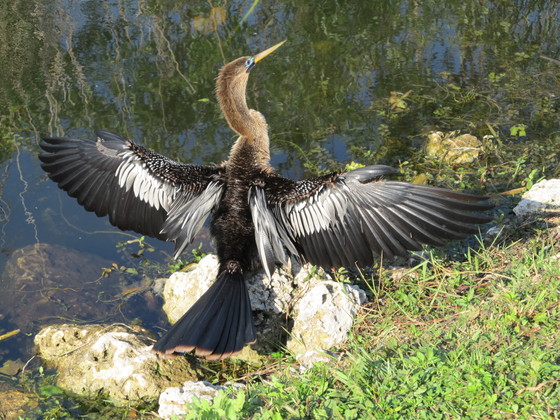 Everglades National Park