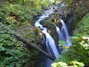 Olympic National Park