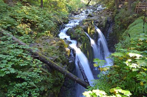Olympic National Park