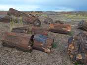 Petrified Forest National Park