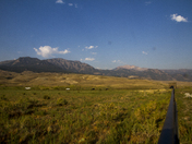 Yellowstone