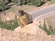 Pikes Peak Americas Mountain