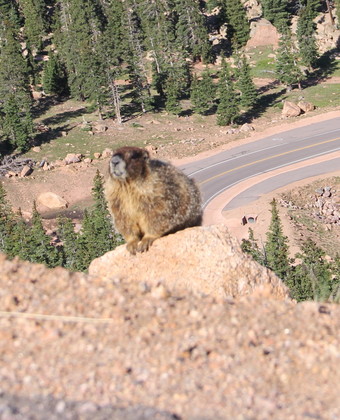 Pikes Peak Americas Mountain
