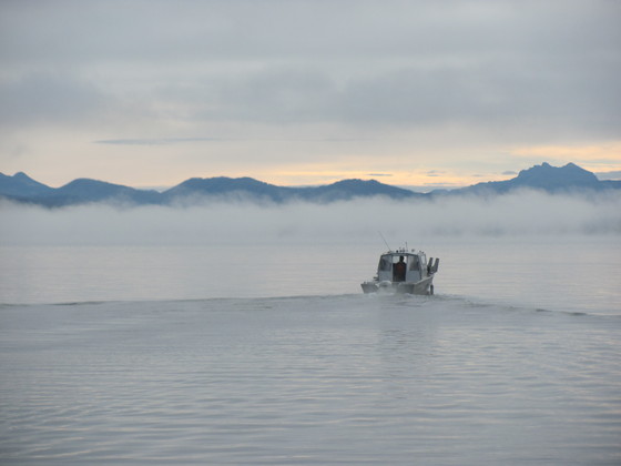 Yellowstone National Park