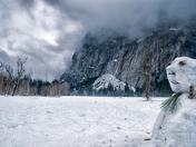Yosemite National Park