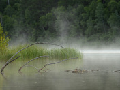Chequamagon National Forest
