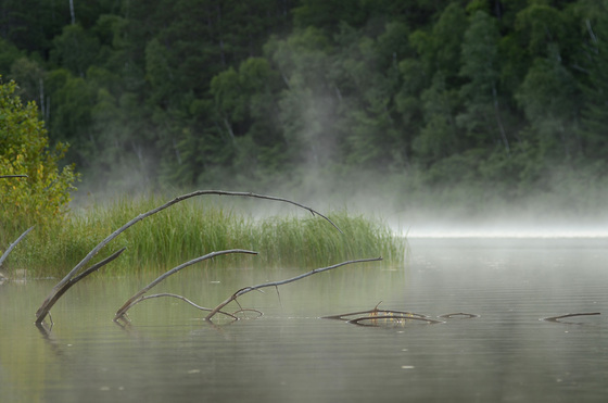 Chequamagon National Forest