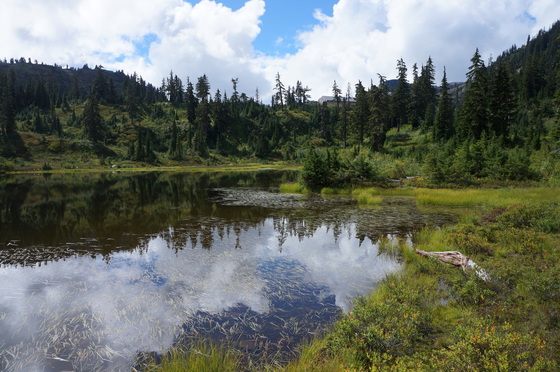 Mount Baker