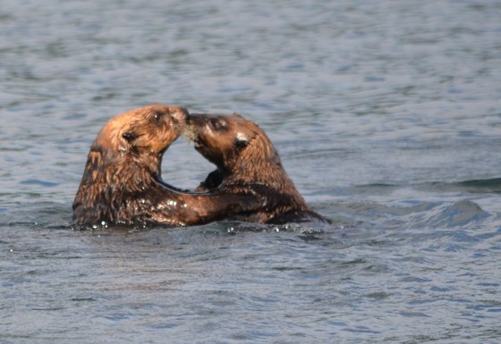 Katmai National Park