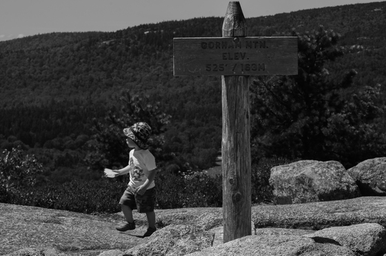 Acadia National Park