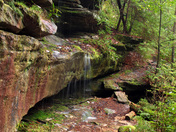 Daniel Boone National Forest