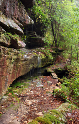 Daniel Boone National Forest