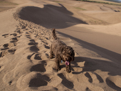 Great Sand Dunes National Park & Preserve