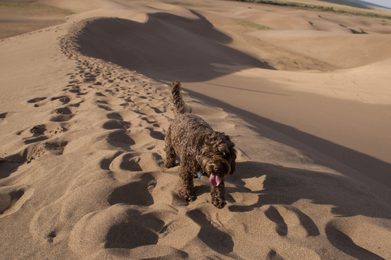 Great Sand Dunes National Park & Preserve
