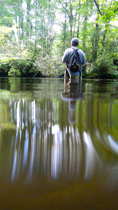 Great Smoky Mountains National Park