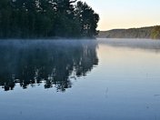 Reflections in the Mist