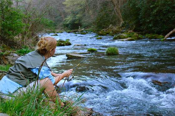 Nantahala National Forest