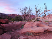 Capitol Reef National Park