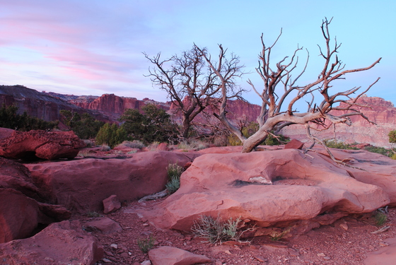 Capitol Reef National Park