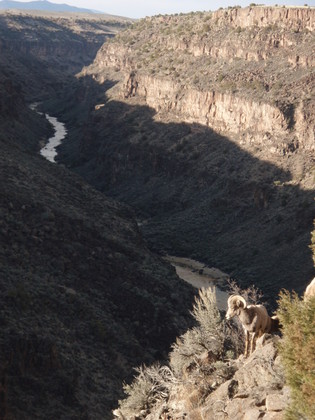 Rio Grande National Mounment 