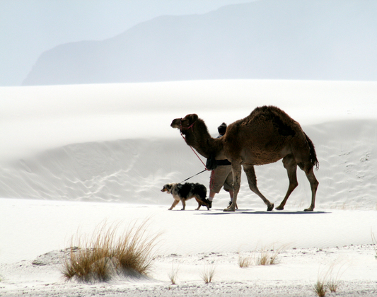 White Sands National Monument