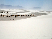 white sands national monument