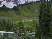 Mt. Rainier National Park
