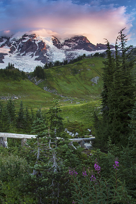 Mt. Rainier National Park