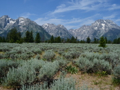 Grand Teton National Park