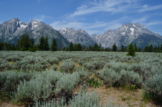 Grand Teton National Park